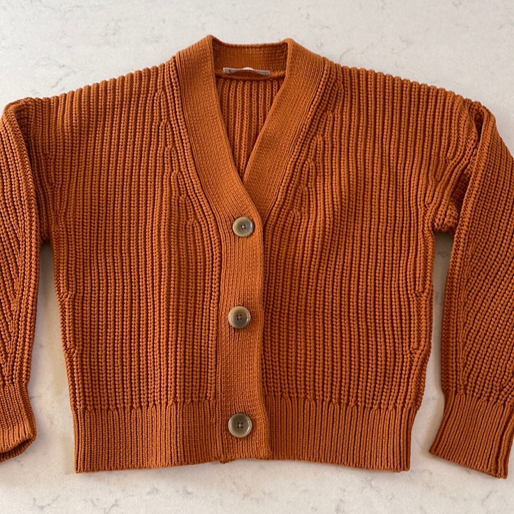 Everlane Cotton Texture Cardigan in Rust